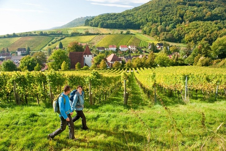 %Ferienhaus Treissmann Südsteiermark%